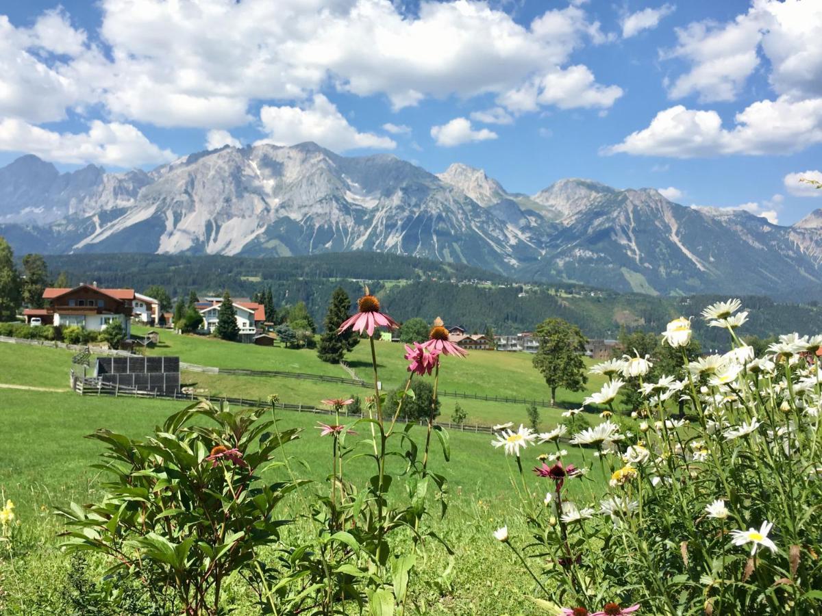 Top 12, Am Sonnenhang, Hochstrasse 斯拉德明 外观 照片
